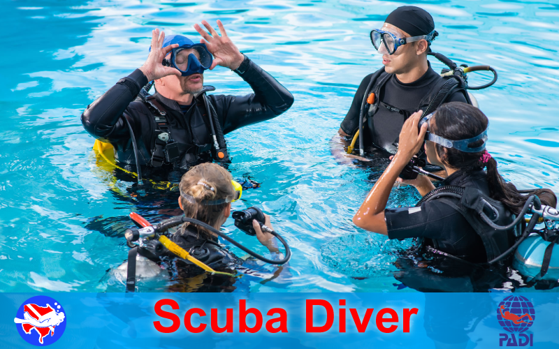 PADI Scuba Diver