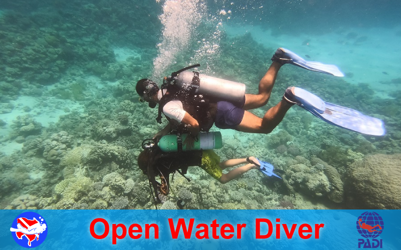 Open Water Diver