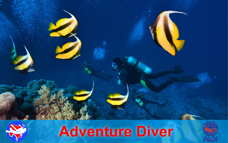 PADI Adventure Diver