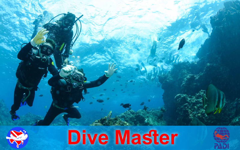 PADI Dive Master